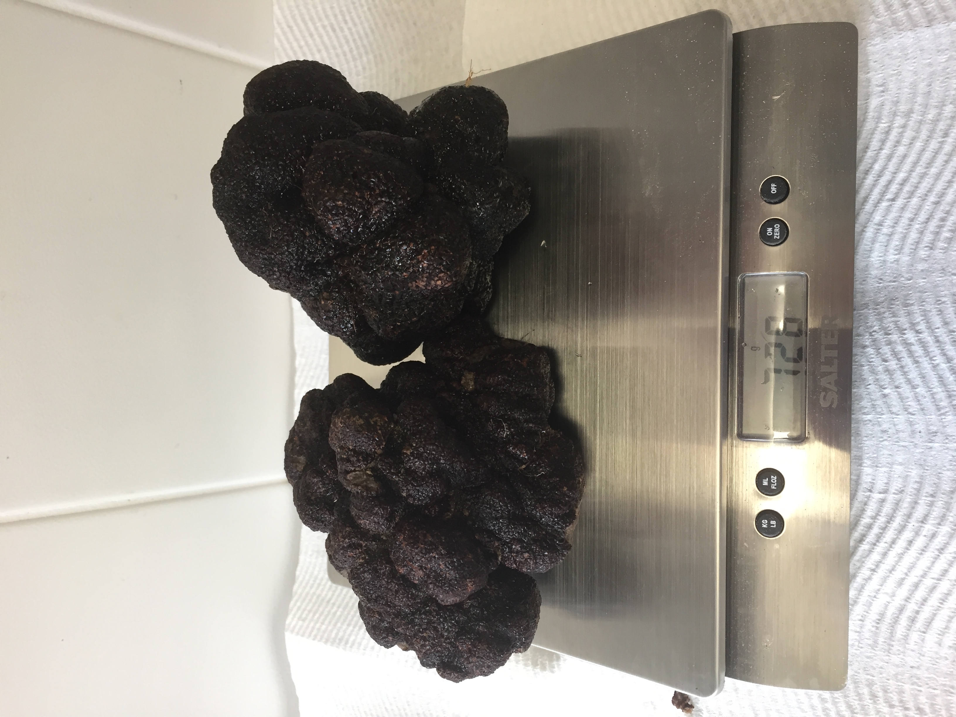 726g truffle